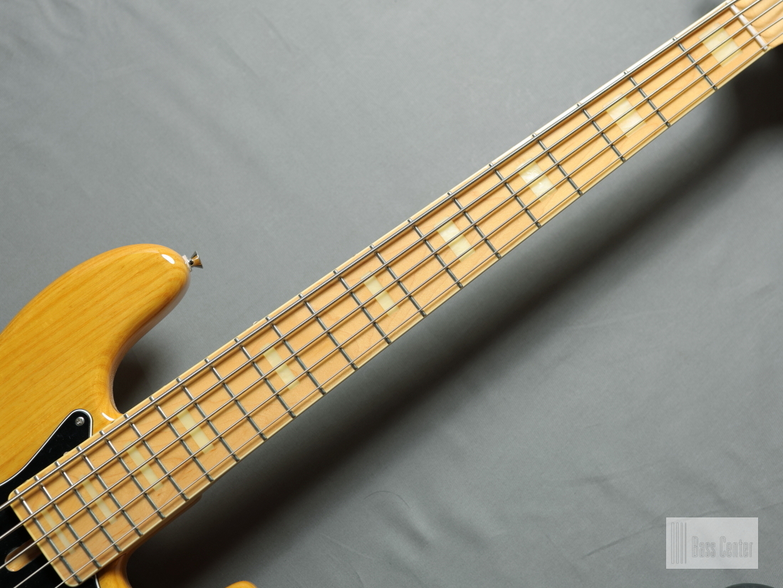 FUJIGEN(FGN) Neo Classic Series NJB100MBAHV / NAT / MOD