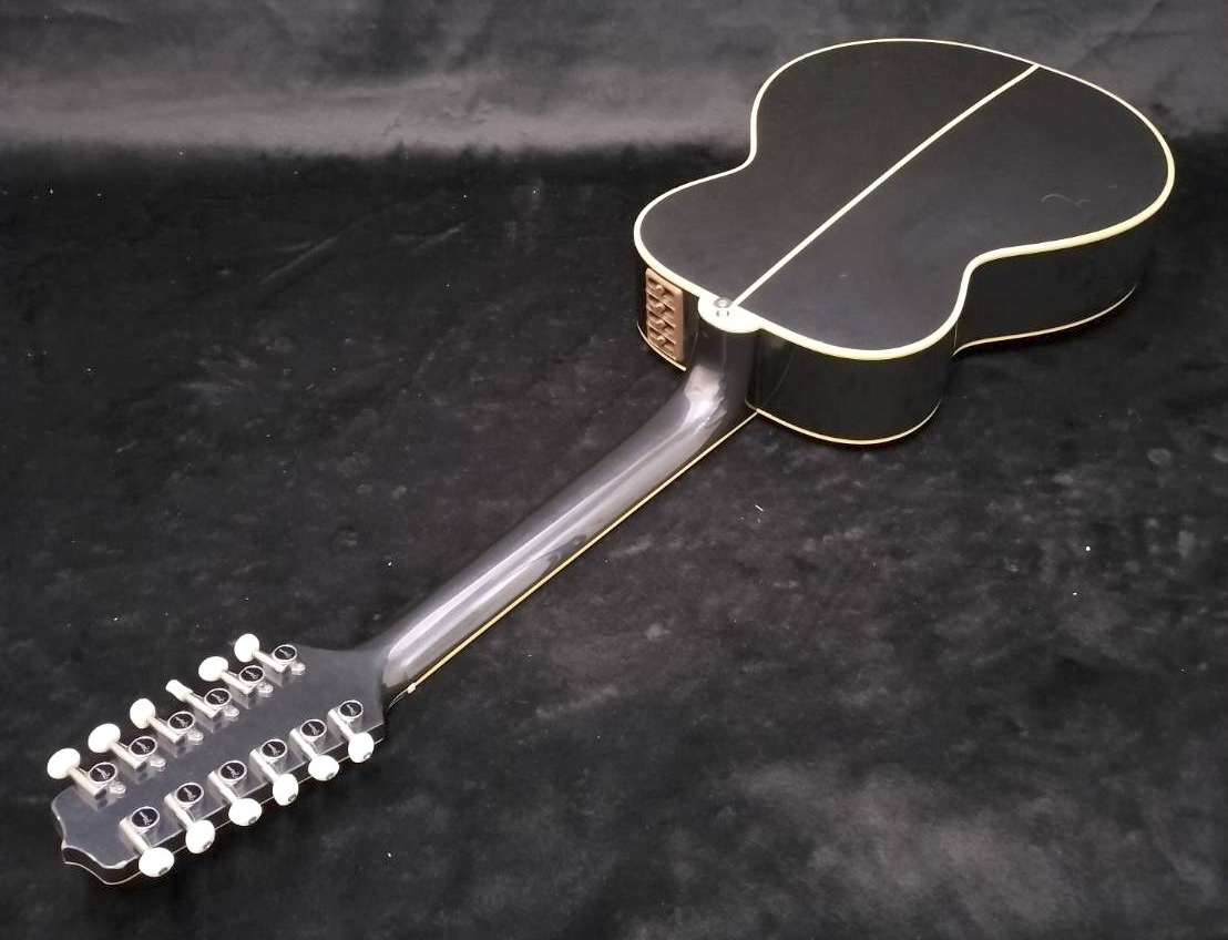 Takamine 1986 PT110-12（ビンテージ）【楽器検索デジマート】