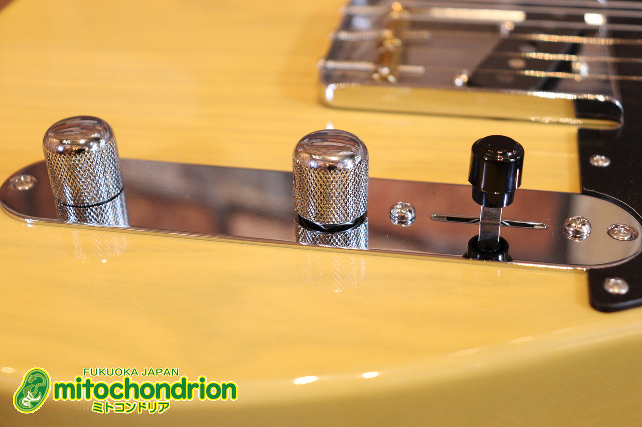 EDWARDS E-TE-ASM / Butter Scotch（新品）【楽器検索デジマート】