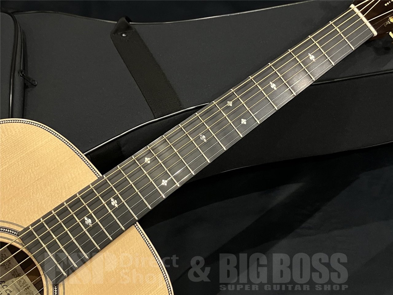 ASTURIAS E.C. CUSTOM 【Limited Model】（新品/送料無料）【楽器検索