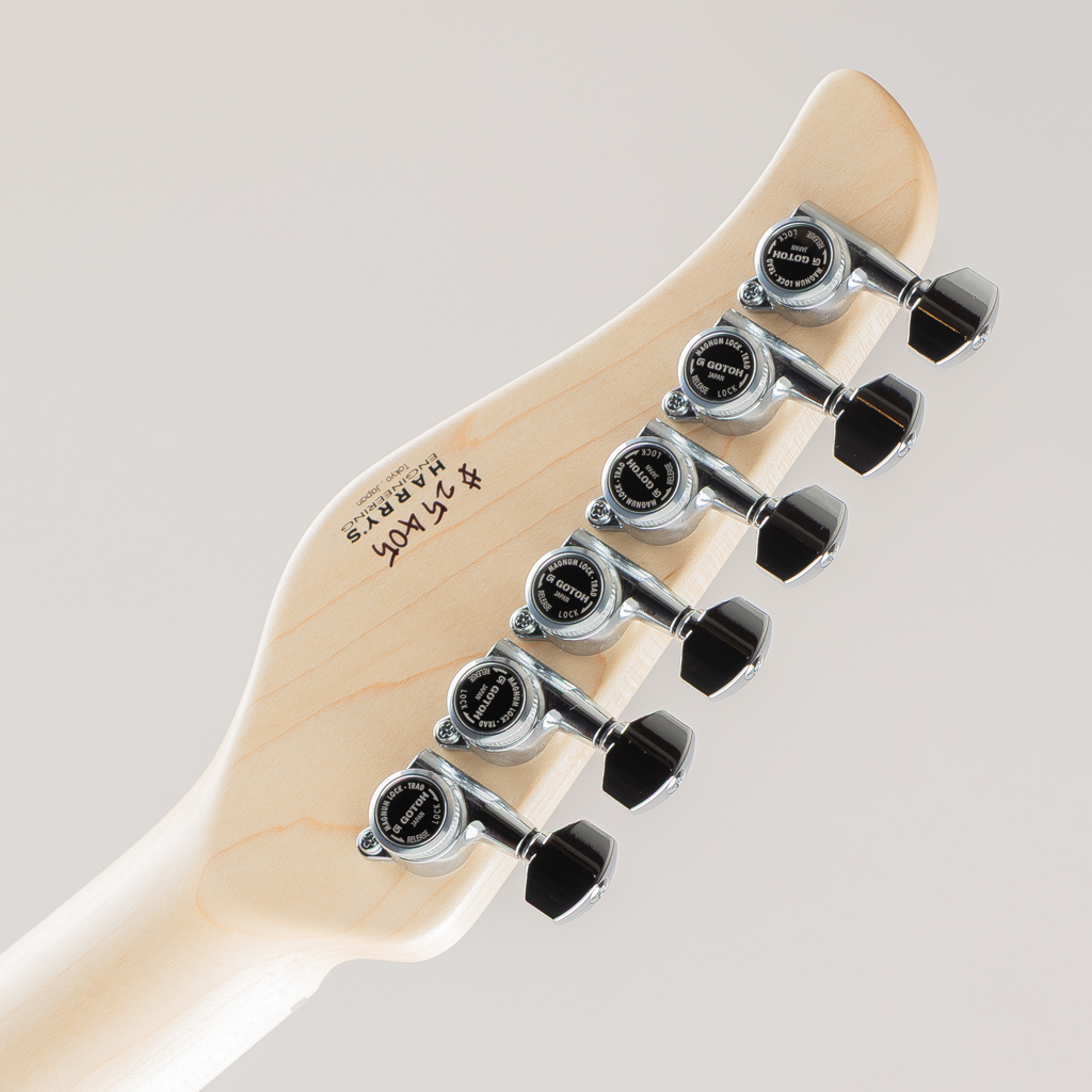 dragonfly CL-HST SSH / Turquoise（新品/送料無料）【楽器検索