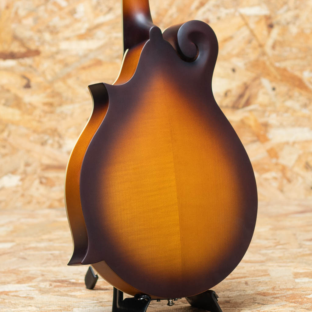 Epiphone Inspired by Gibson F-5 Studio VS（新品）【楽器検索