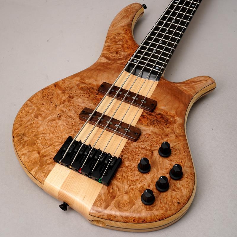 Phoenix PH9-5 Burl Maple（新品）【楽器検索デジマート】