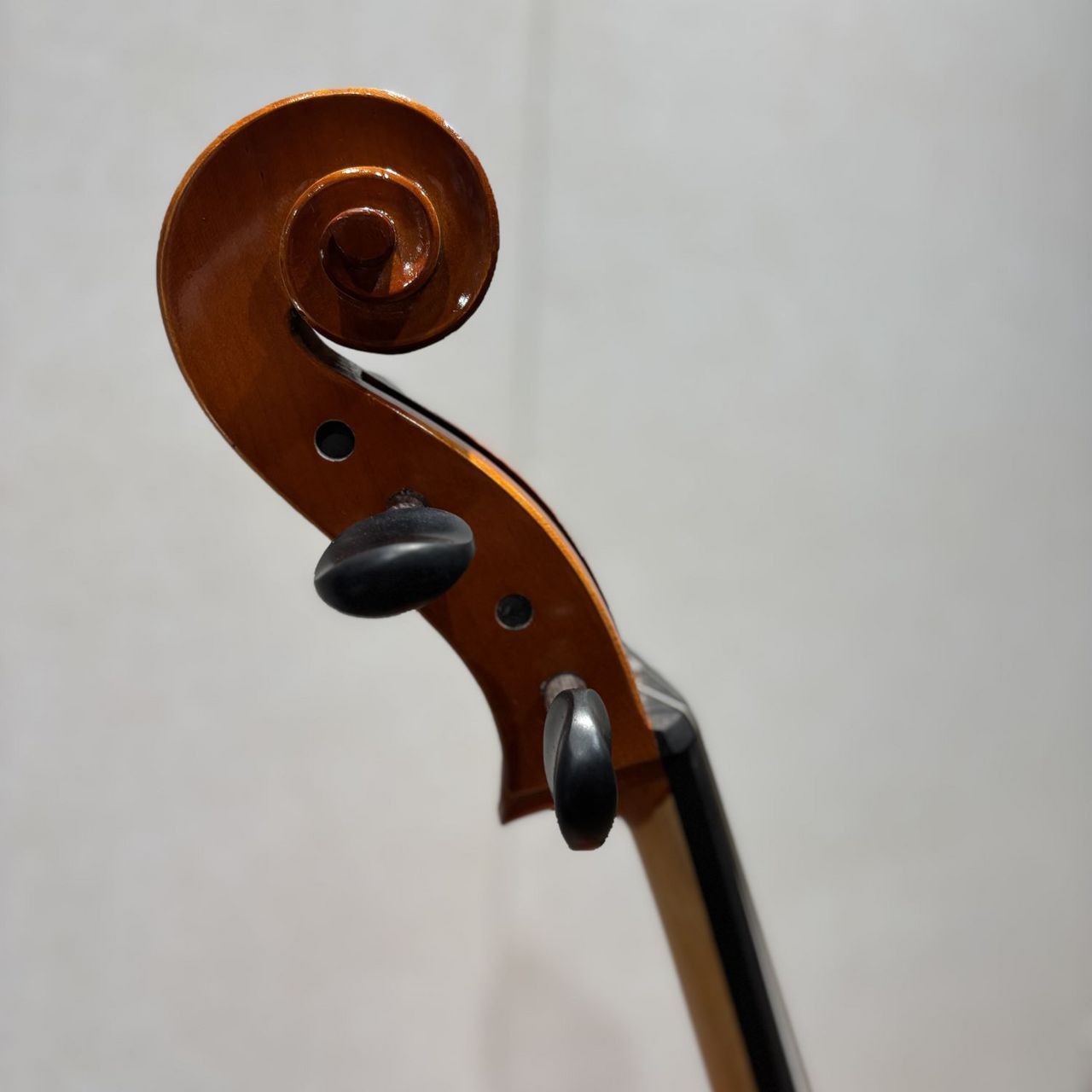 Andreas Eastman VC100 4/4 チェロ　イーストマン Eastman Eastman VC100 4/4 チェロセット イーストマン 【 名古屋