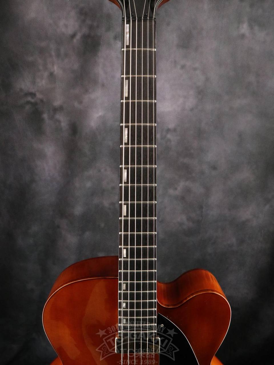 Ibanez AFC151（中古）【楽器検索デジマート】