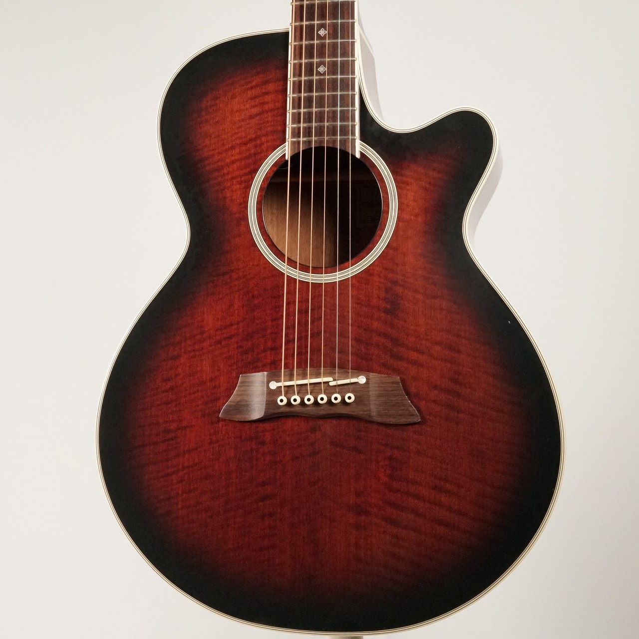 Takamine DSP-110 MOD【USED】（中古）【楽器検索デジマート】