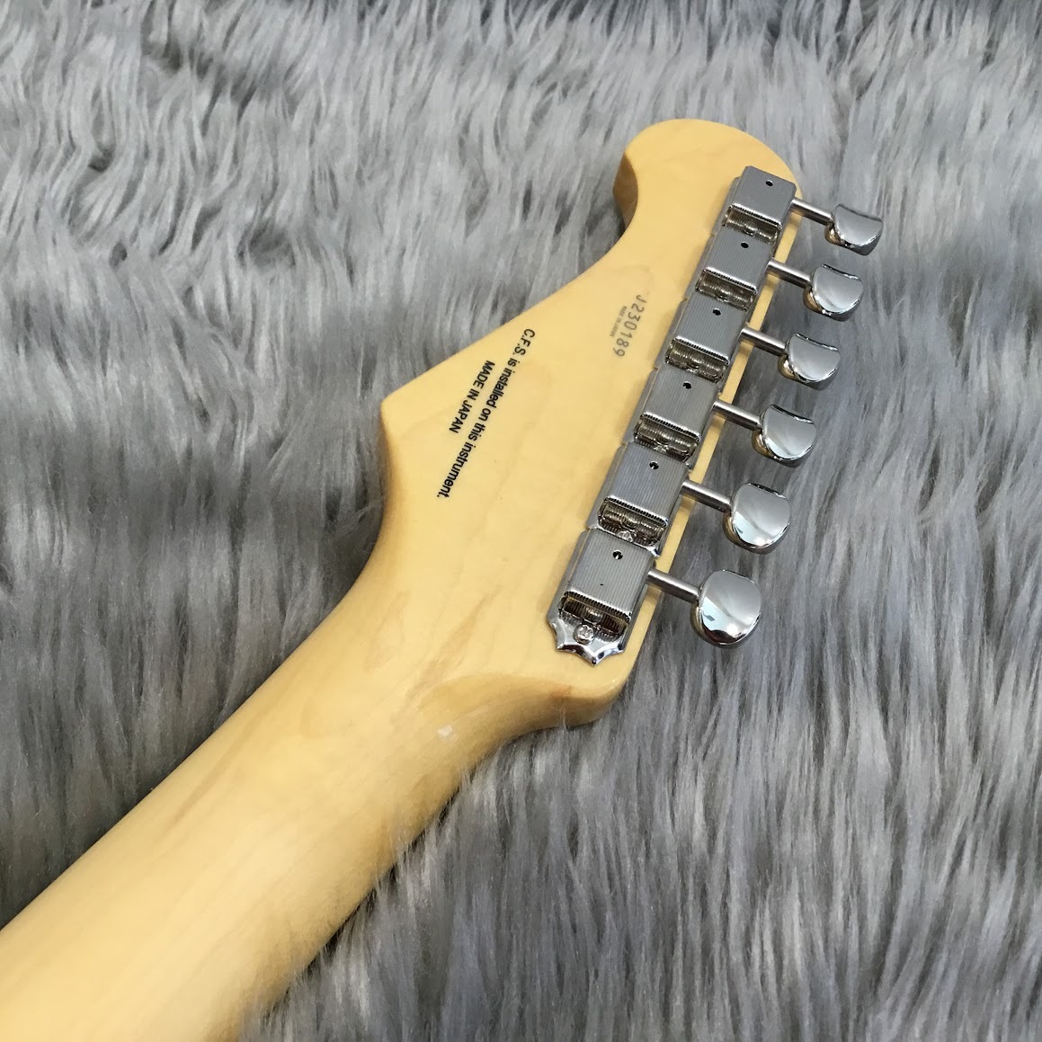 FUJIGEN(FGN) NTE100RAH/01 WB Neo Classicシリーズ 【現物写真