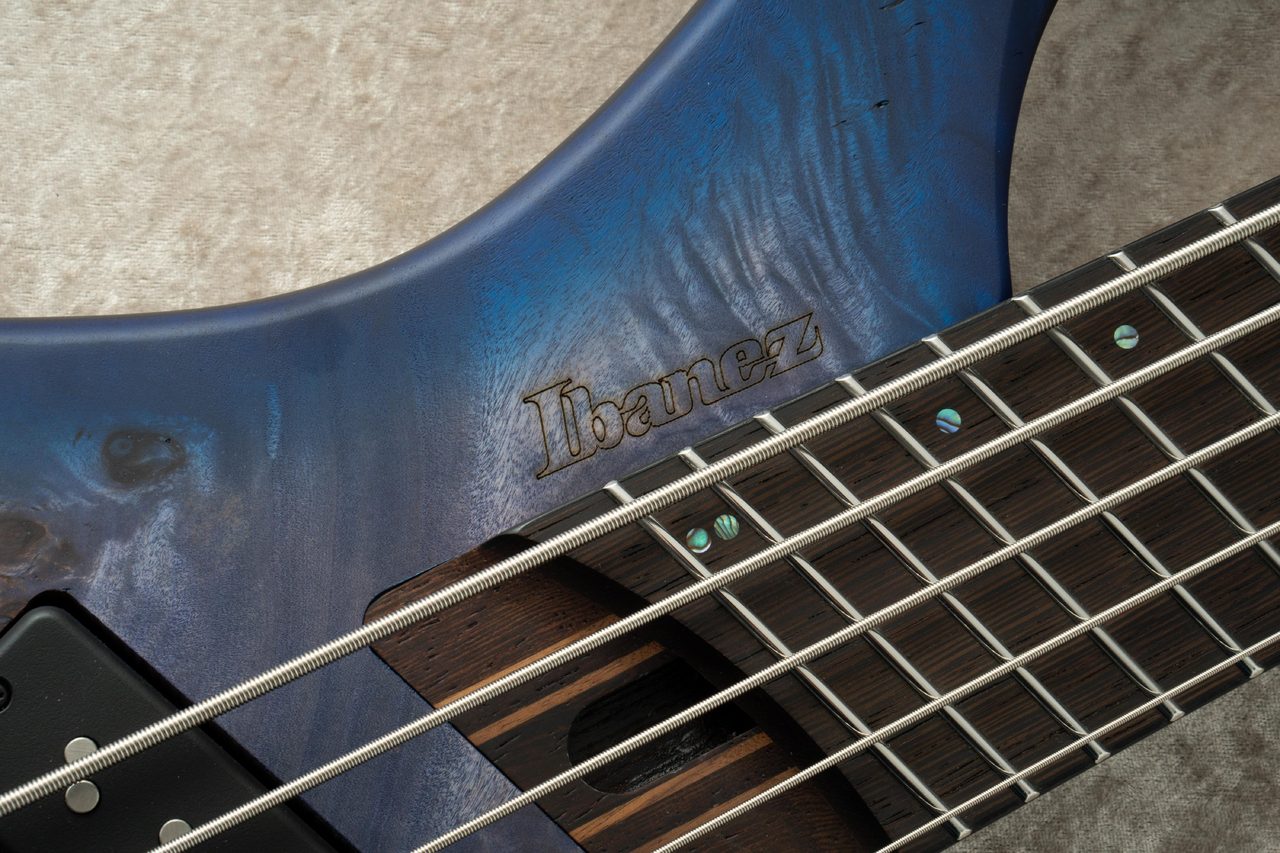 エ*N様 FERNANDES SMB-50 エレキベース 青 エ*N様 FERNANDES SMB-50 エレキベース 青 - メルカリ