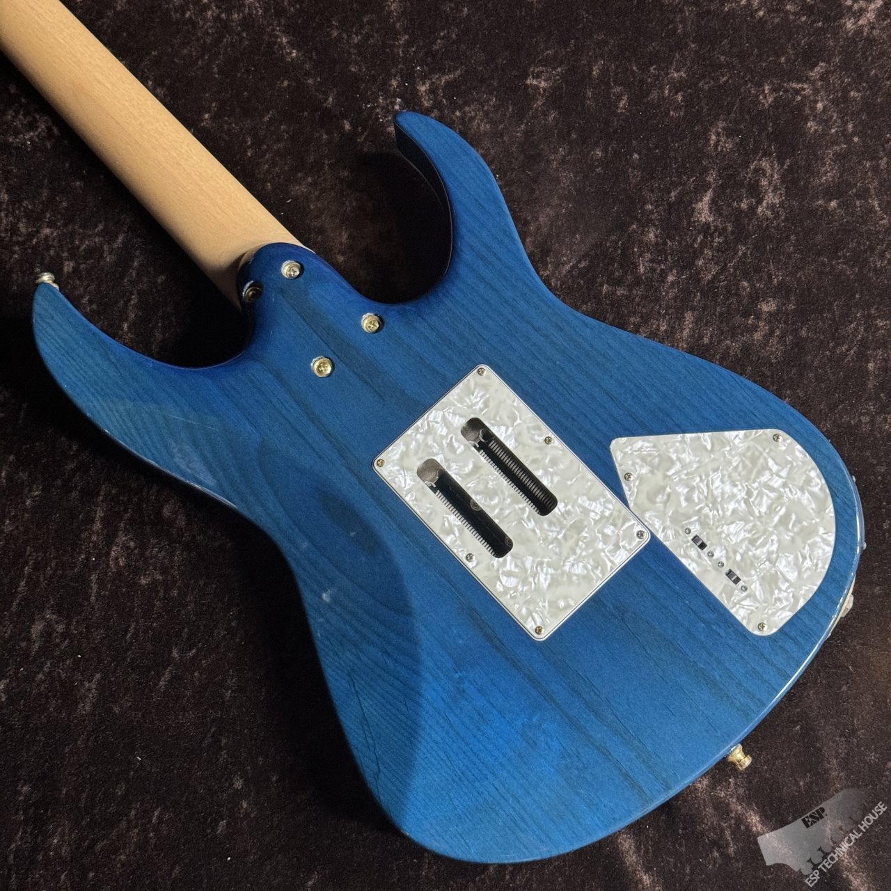 ESP フルオーダー品 キルテットメイプル ギターシンセ接続可能 - 楽器/器材