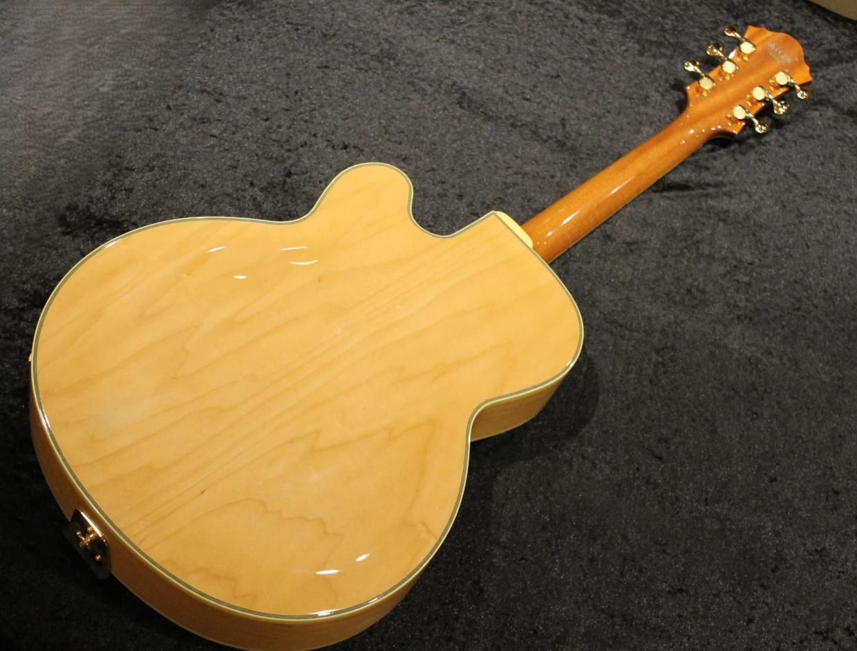 Ibanez PM200 / パットメセニー シグネチャーモデル（新品/送料無料