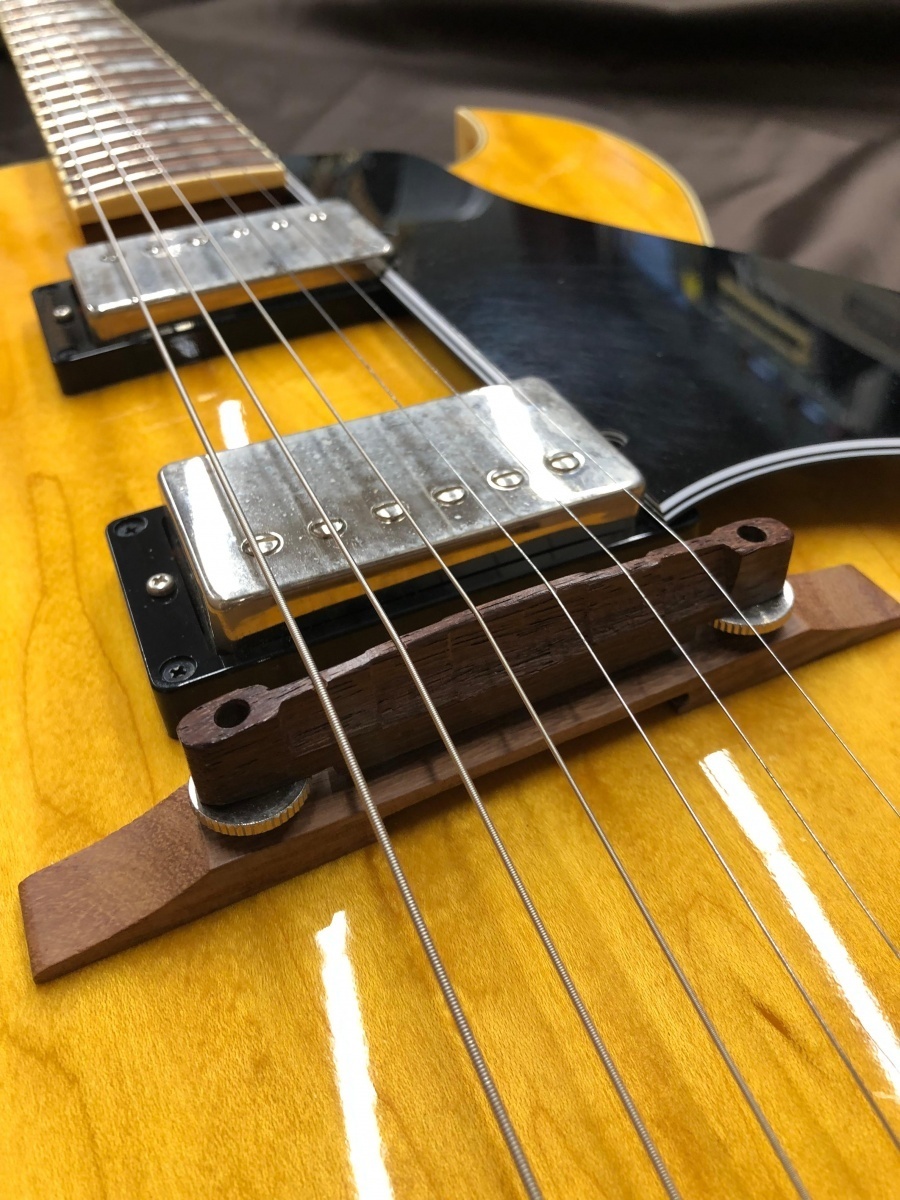 海外限定】 Archtop tribute AT102M ビグスビー付 フル