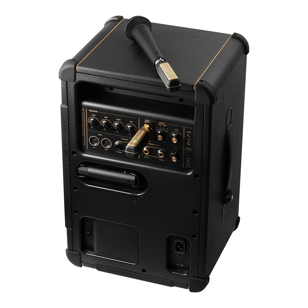 Positive Grid Spark LINK XLR（新品/送料無料）【楽器検索デジマート】