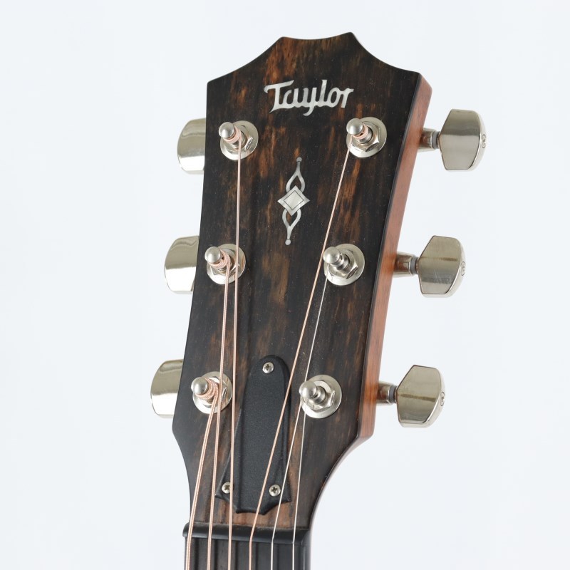 Taylor 317e V-class アコースティックギター ハードケース付き Taylor 317e V-class アコースティックギター ハードケース付き