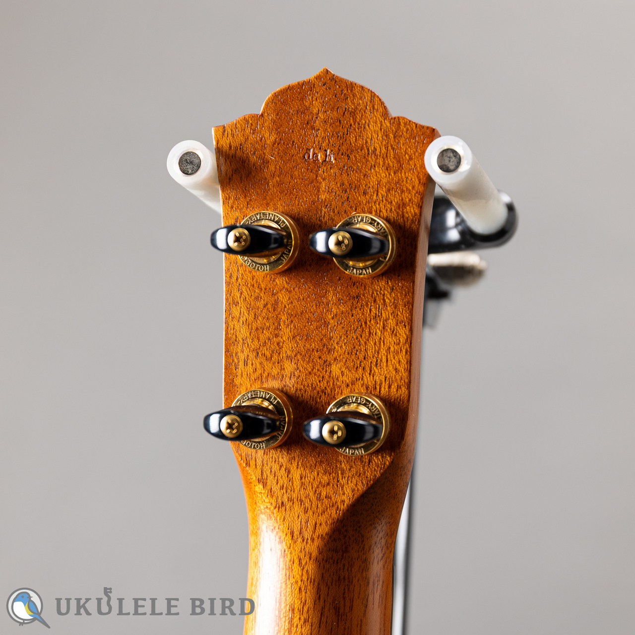 da h(ダ・アッカ) ukulele concert 14f pineapple koa rosewood