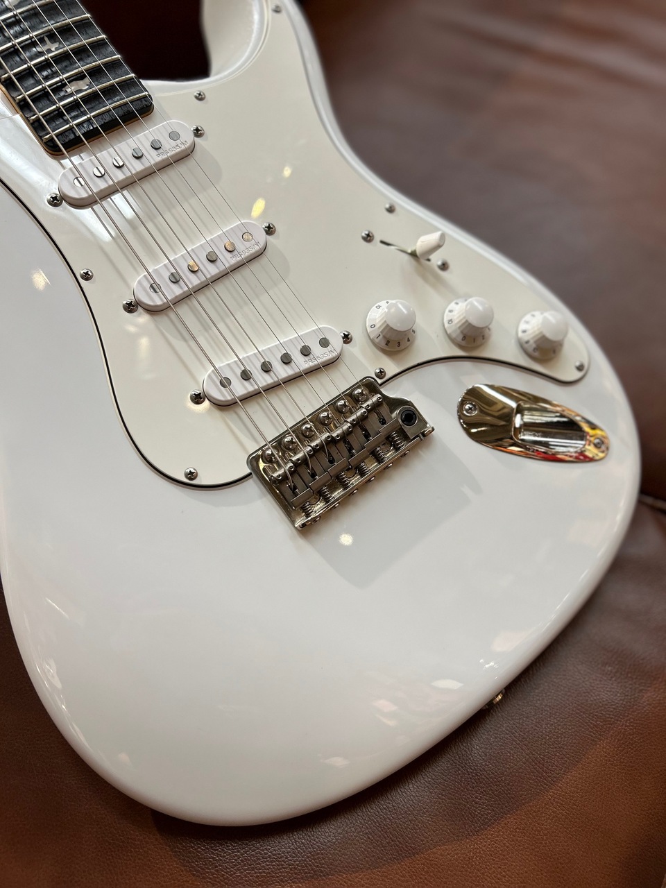 Paul Reed Smith(PRS) 【スキャロップド加工】SILVER SKY Mod ～Frost