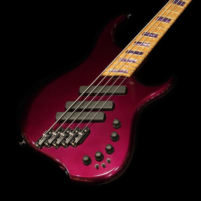 Dingwall Z3 （低音者＠イシバシ楽器 on X: 