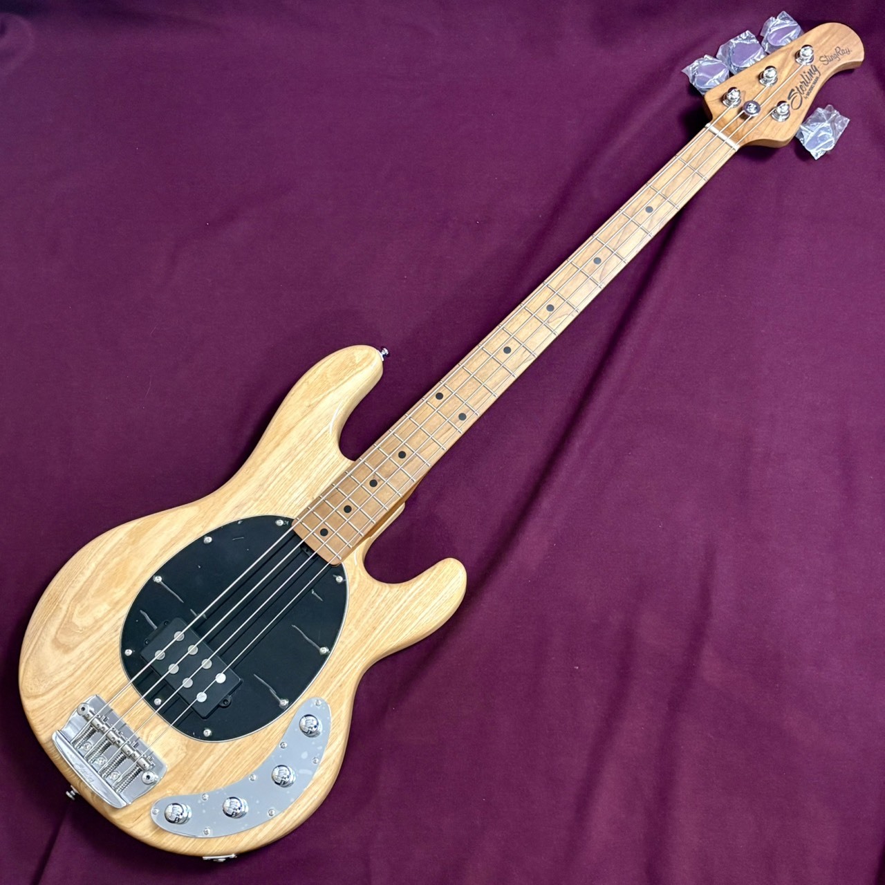 Sterling by MUSIC MAN RAY34-ASH-M2 LTD【日本限定企画/現物画像5.09