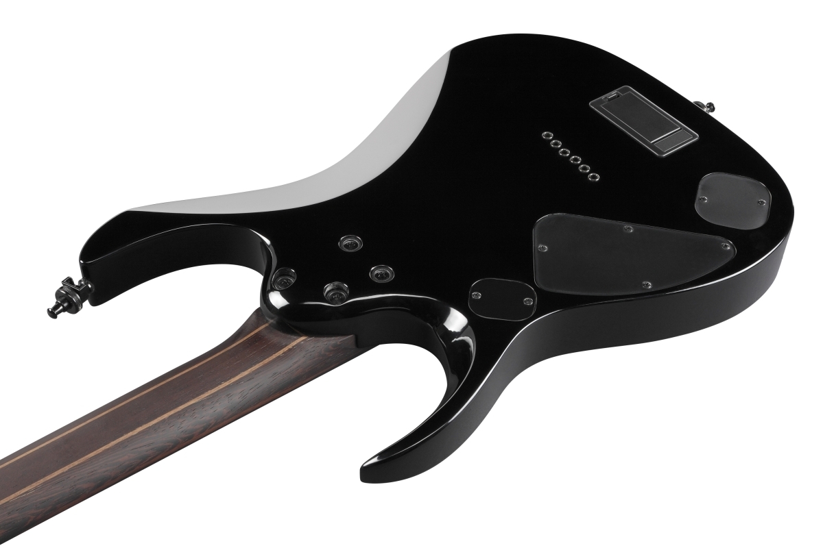 Ibanez RGD61ALA-MTR (MTR (Midnight Tropical Rainforest