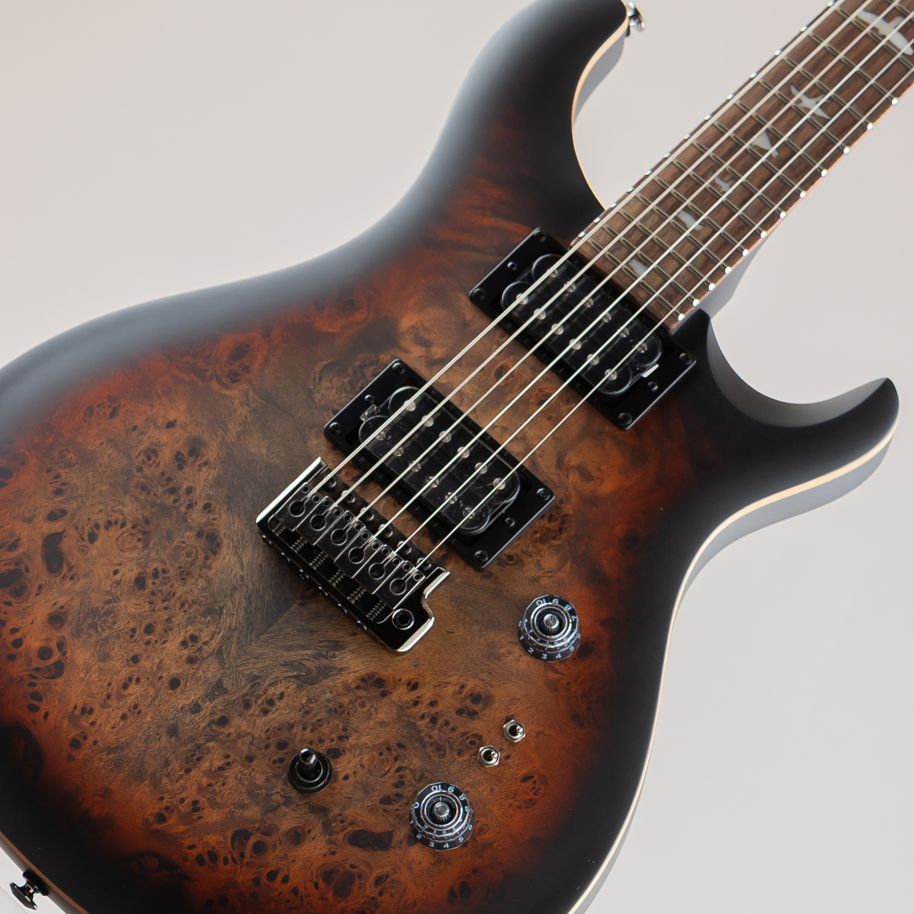 Paul Reed Smith(PRS) SE Custom 24-08 Poplar Burl Limited Edition