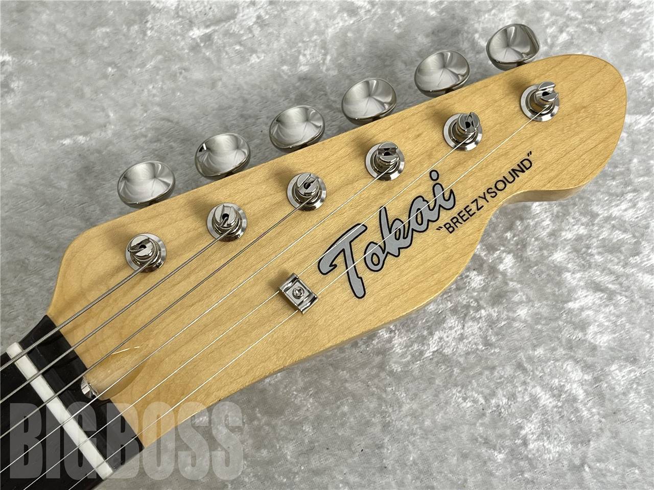 Tokai ATE-101-THN Shell Pink(新品/送料無料)【楽器検索 Tokai ATE-101-THN Shell Pink(新品/送料無料)【楽器検索