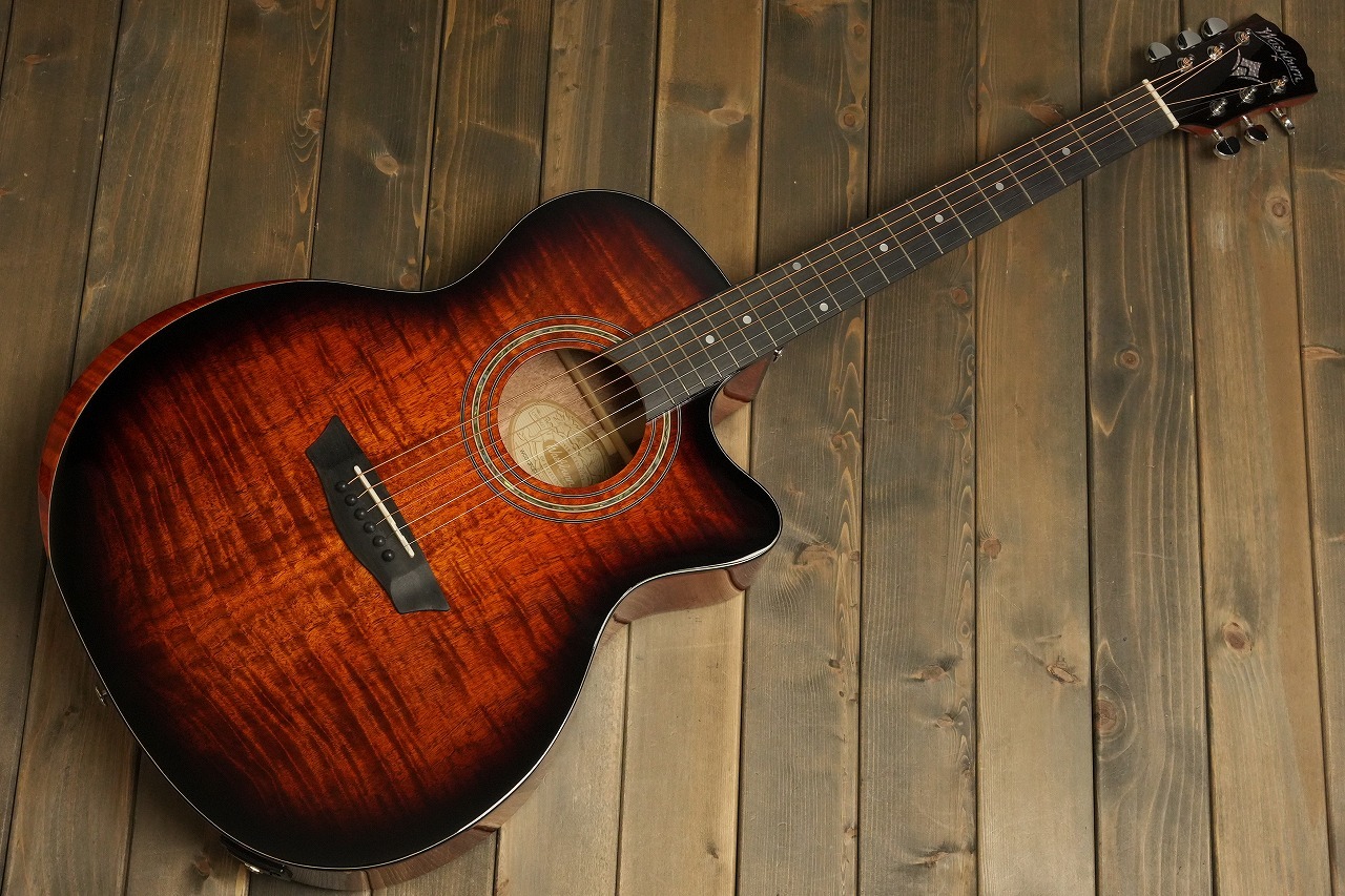 Washburn WCG12FCE エレアコギター（新品特価/送料無料）【楽器検索