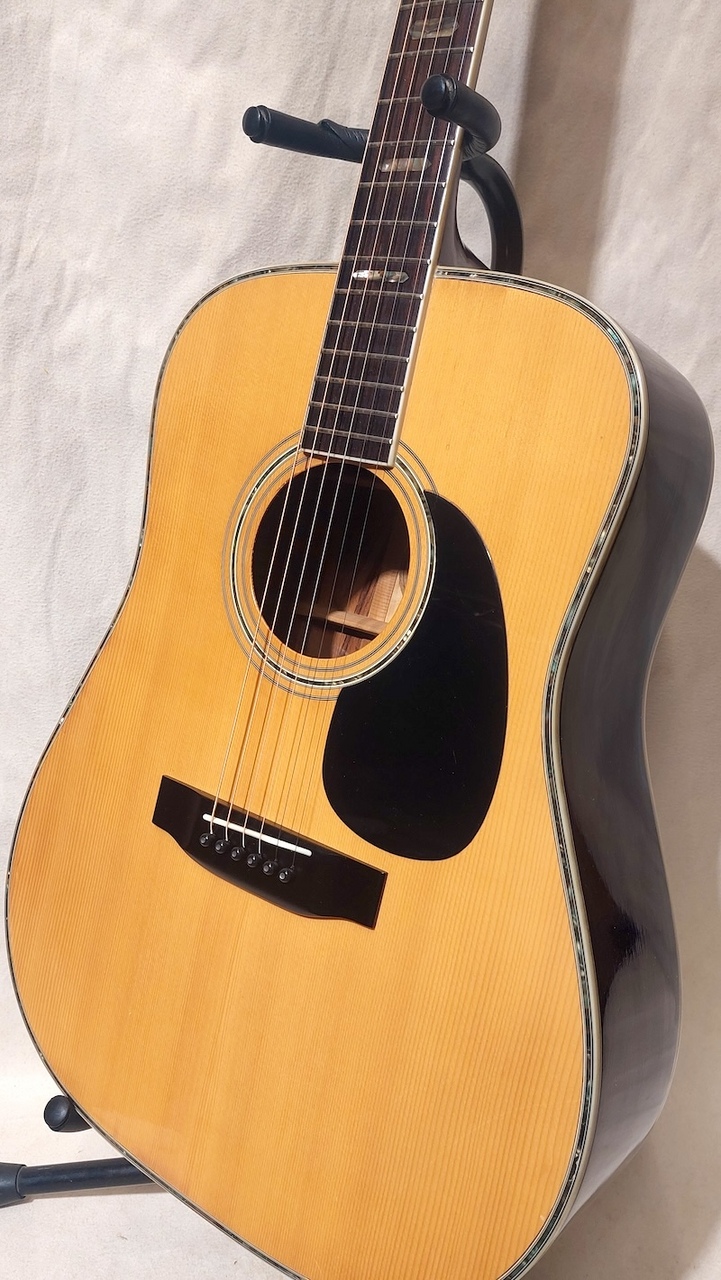 Morris W-50（中古）【楽器検索デジマート】