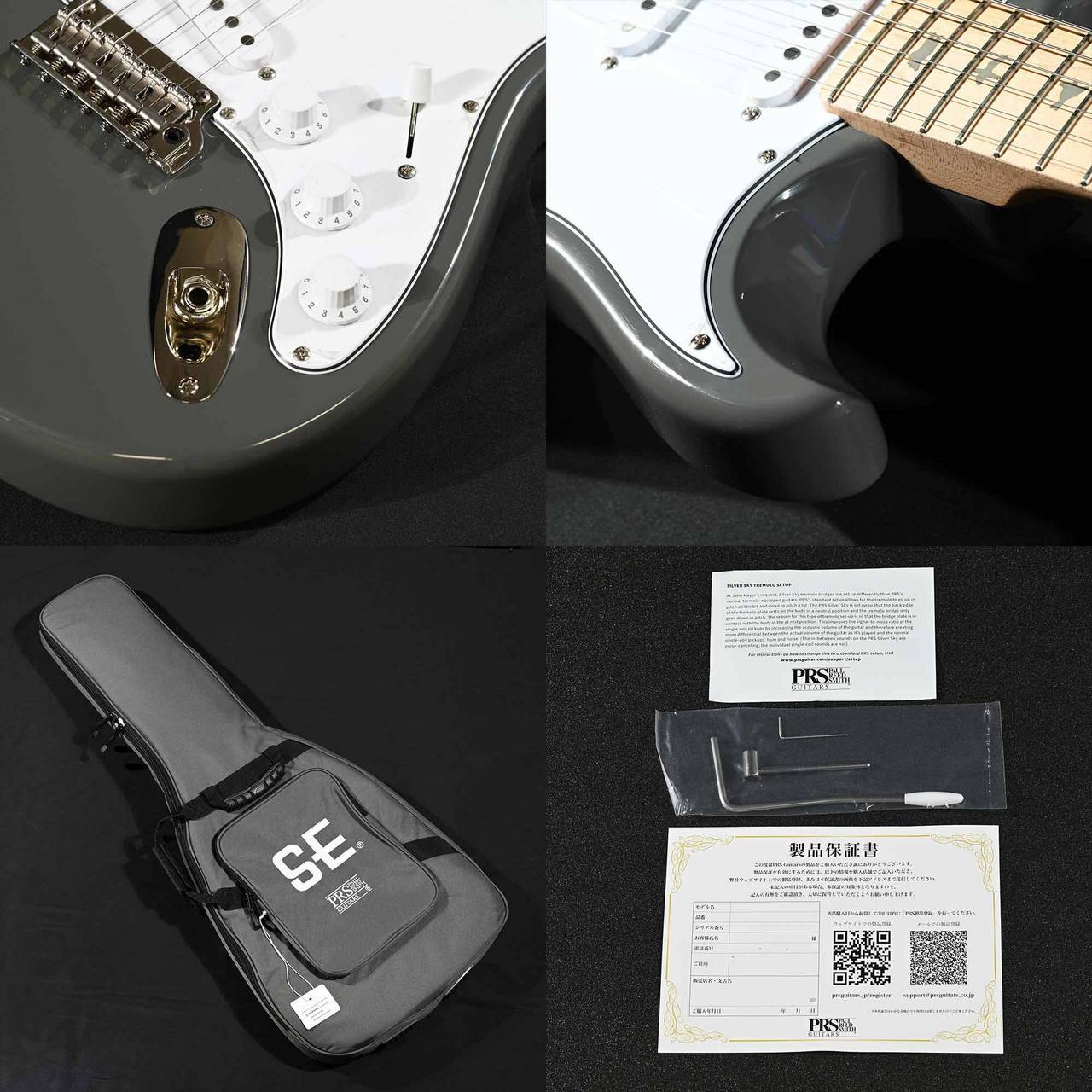 Paul Reed Smith(PRS) SE Silver Sky Maple 5J Overland Gray S/N