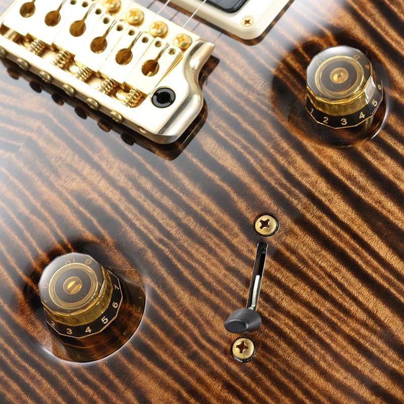 Paul Reed Smith(PRS) Ikebe Original Wood Library Custom24 McCarty