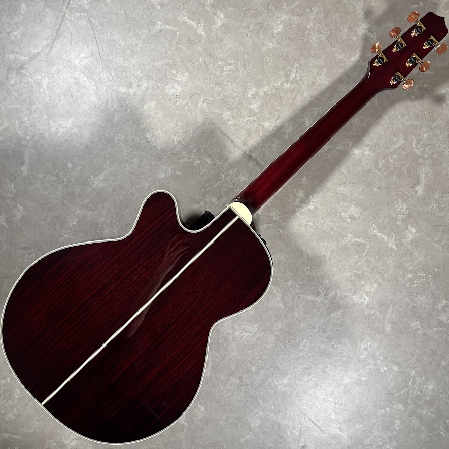 Takamine DMP50S WR エレアコギター セミハードケース付属 【島村楽器
