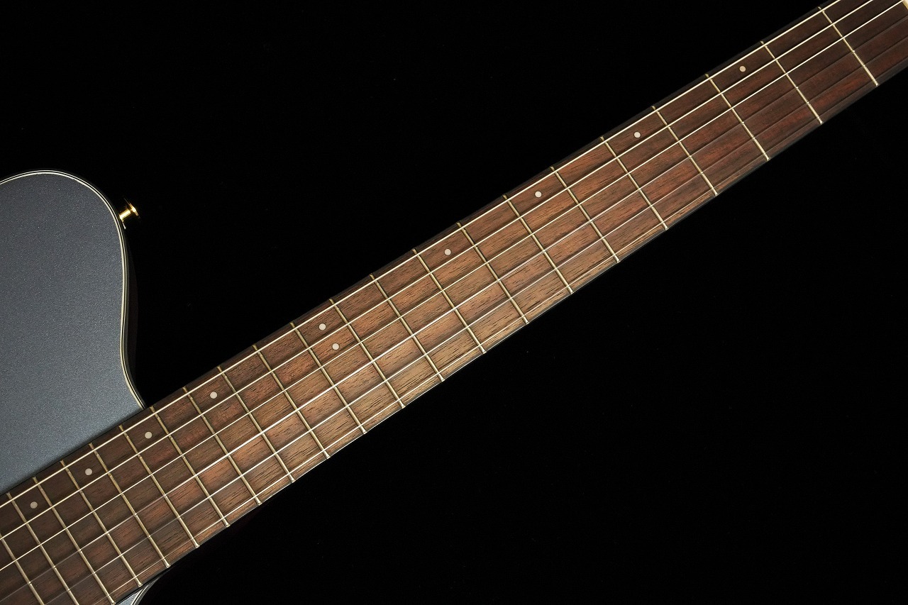Ibanez FRH10N IBF エレガットギター 限定生産モデル（新品/送料無料
