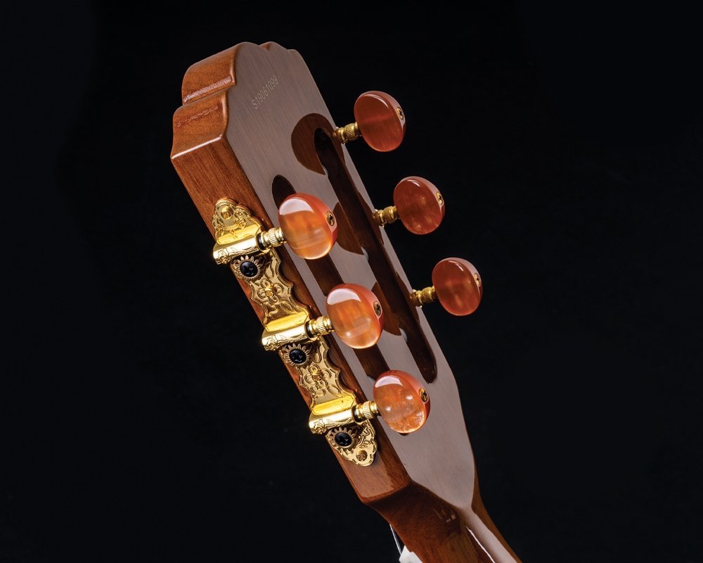 Washburn Festival EACT42S Natural ワッシュバーン 【渋谷店】（新品