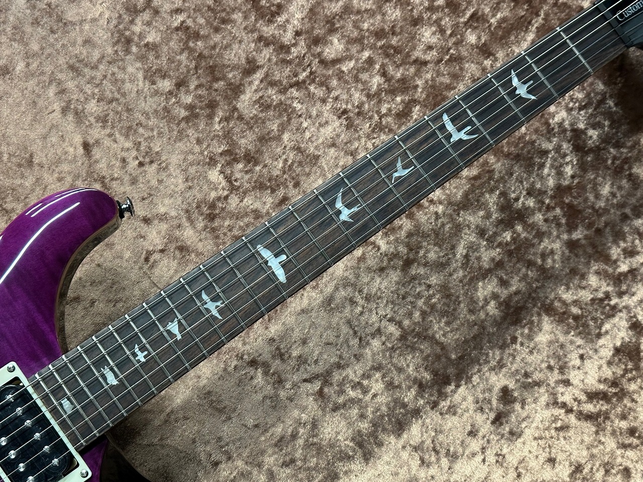 Paul Reed Smith(PRS) SE Custom 24 -Amethyst- 2025 Model （新品