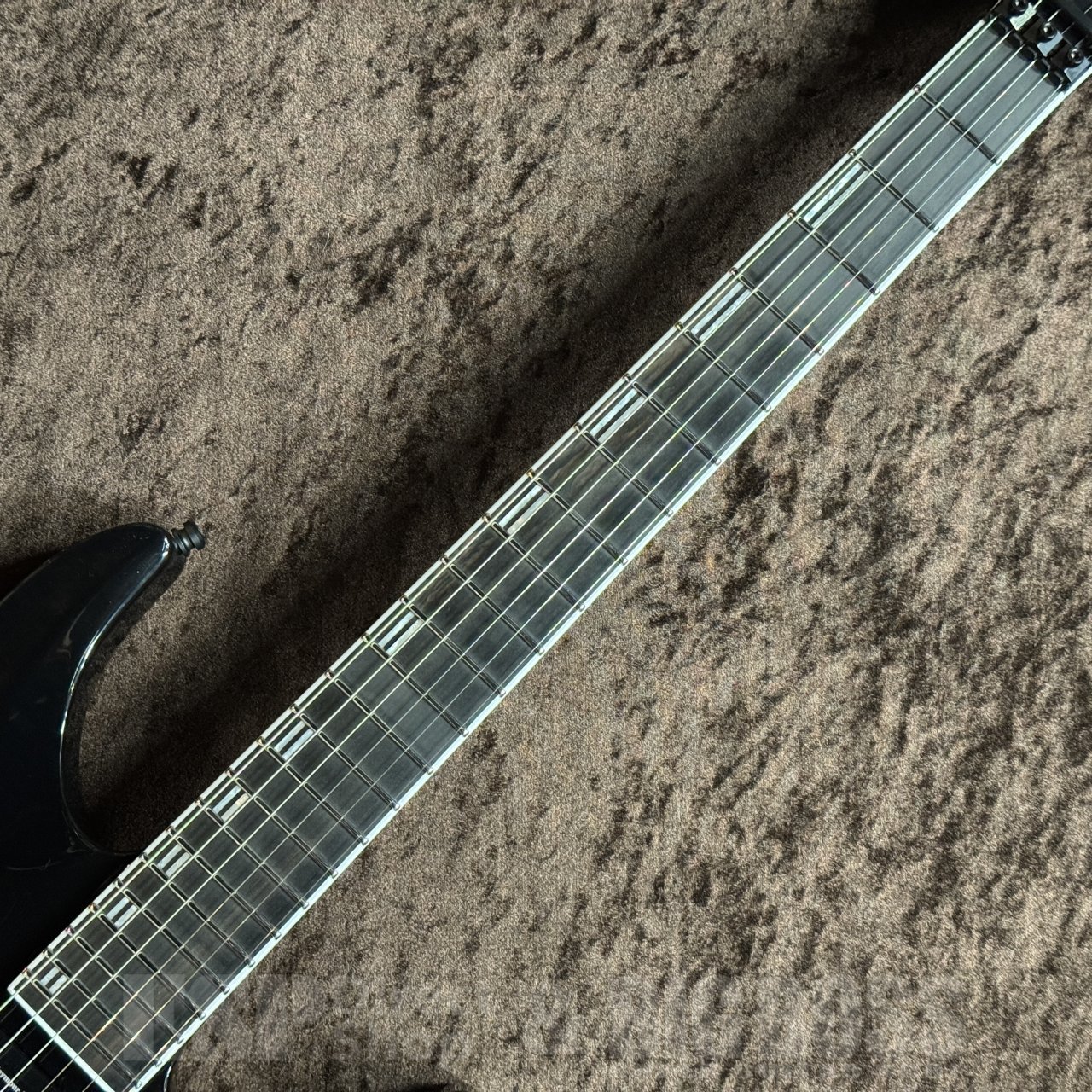 EDWARDS E-HORIZON-I（新品/送料無料）【楽器検索デジマート】