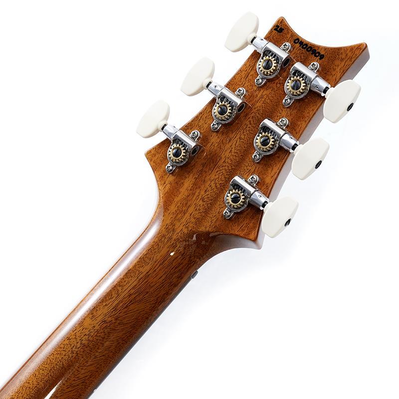 Paul Reed Smith(PRS) 40th Anniversary Custom 24 Limited Edition