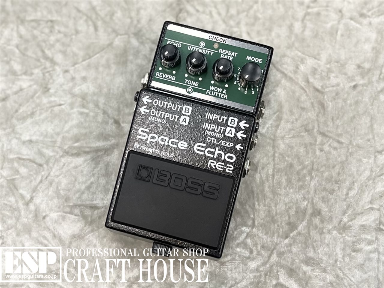 BOSS RE‑2 Space Echo /購入1月・ほぼ未使用 スペースエコー