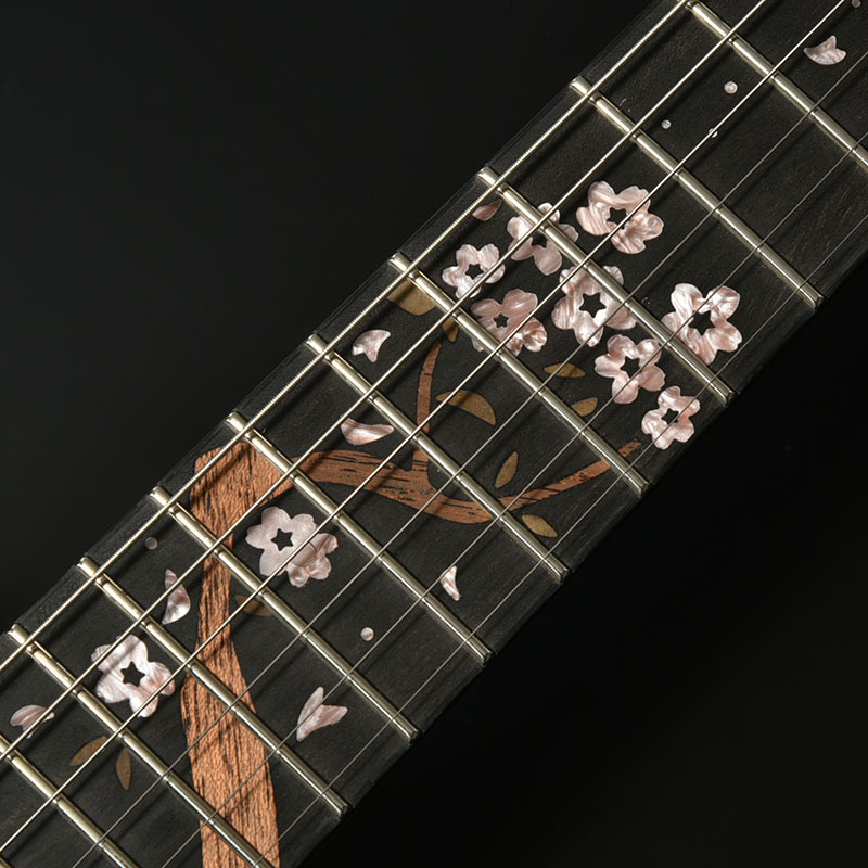 Seventy Seven 【予約受付】ALBATROSS-SAKURA-PP SP'26/E（新品/送料