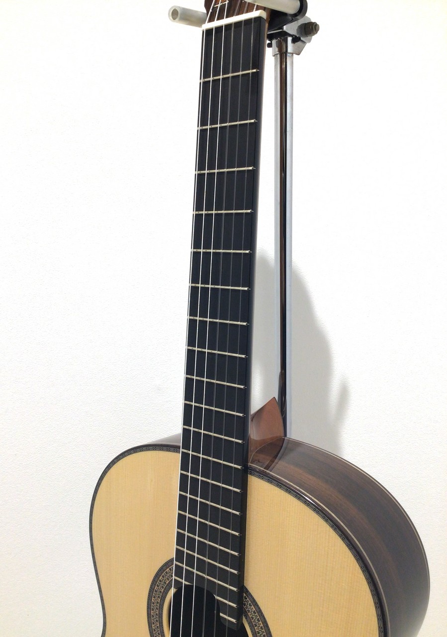 ASTURIAS RENAISSANCE/S（新品/送料無料）【楽器検索デジマート】