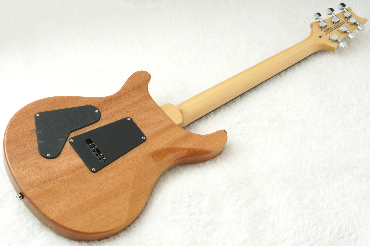 Paul Reed Smith(PRS) 2024 SE CUSTOM 24 ～Eriza Verde～ #CTIG005737