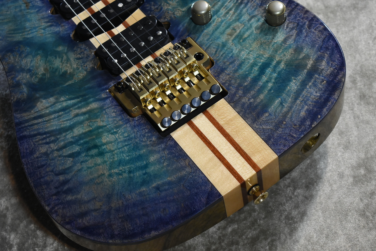 Ibanez VISIONS IV2RG #L25302【3.86kg】【極上Burl Maple Top/スルー