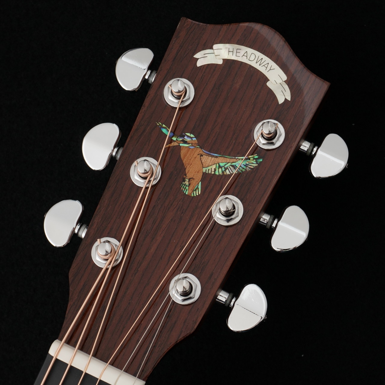 Headway 【秋のHeadwayフェア!】 HOC-KINGFISHER 【動画あり】【P.U付