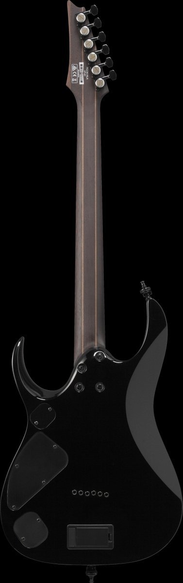 Ibanez RGD61ALA-MTR (MTR (Midnight Tropical Rainforest))【御茶ノ水