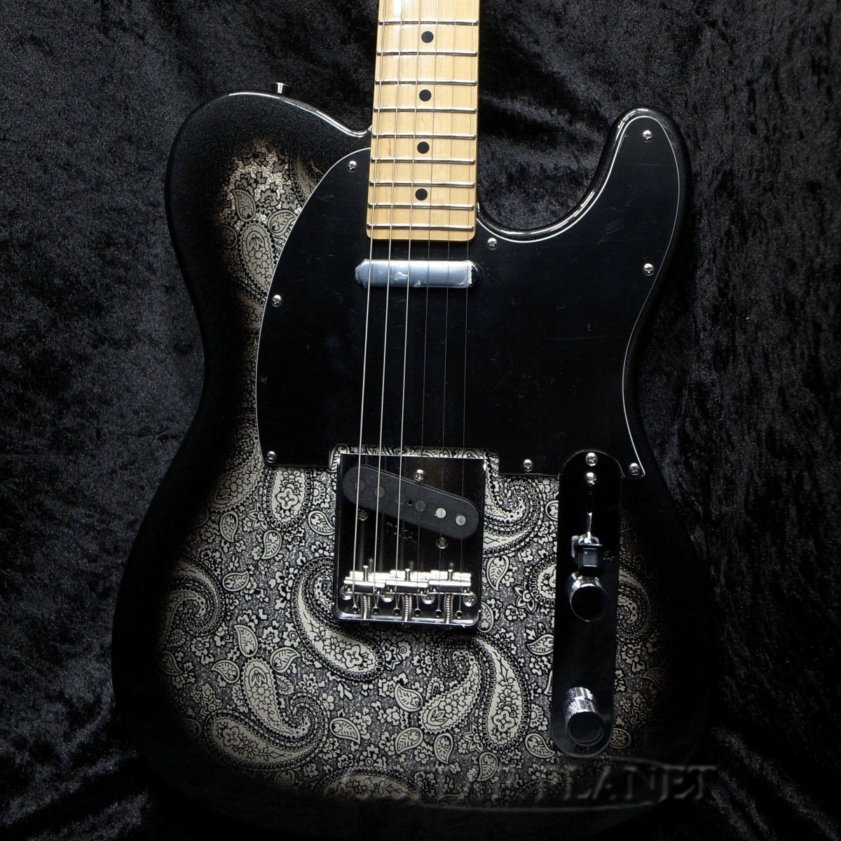 Tokai ATE-101 BP/M Black Paisley 【極少限定生産】（新品）【楽器