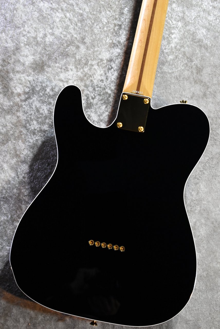 Tokai ATE-101B/G BBR #250631【待望の入荷、漆黒指板、3.69kg】（新品