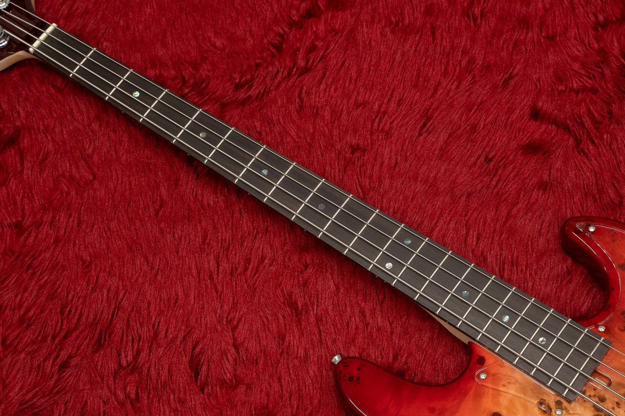 ベース WJB-BP/Act (RD-B) WJB-BP/Act | Deviser ｜株式会社ディバイザー｜長野県松本市のギター