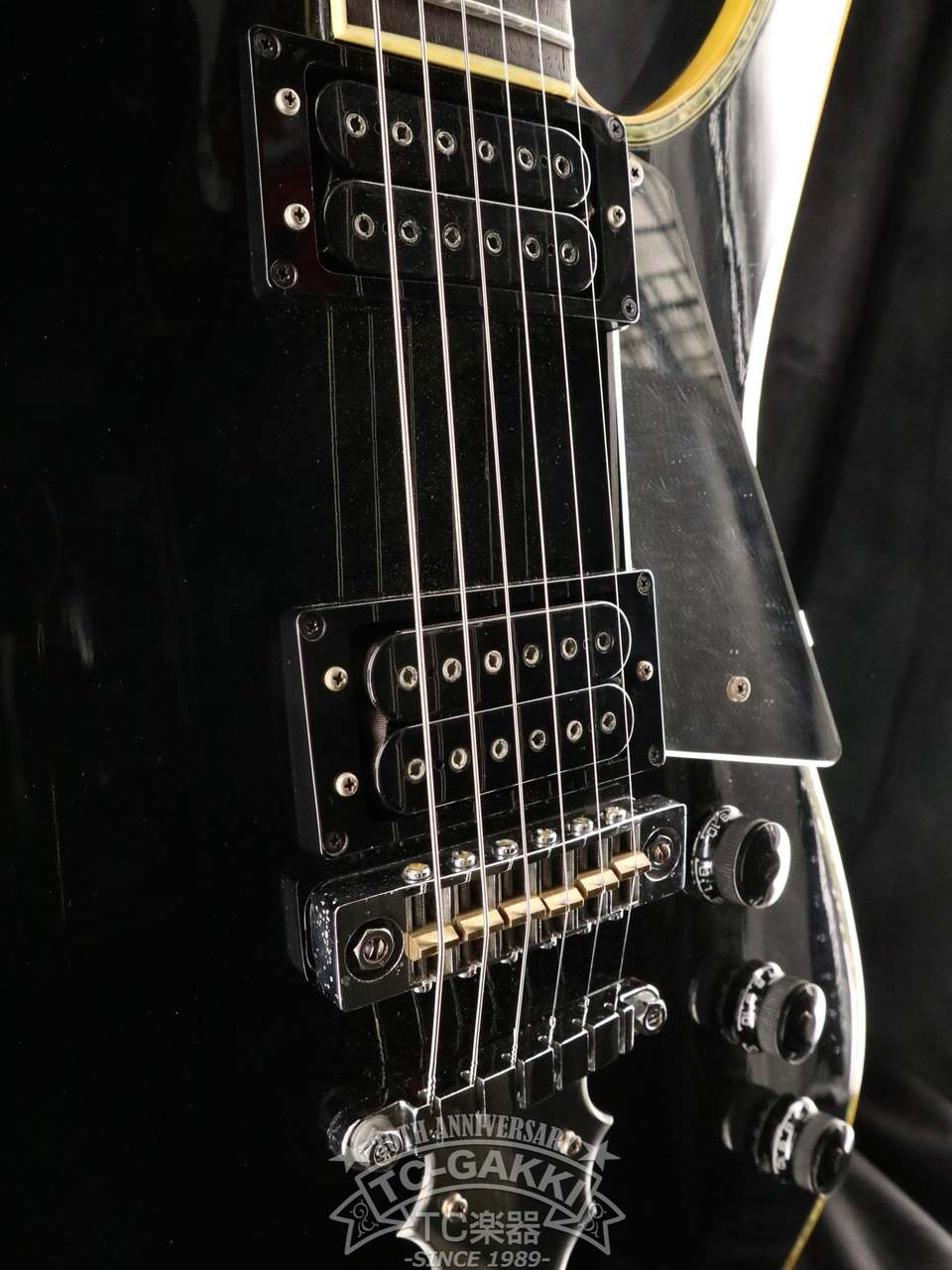 Ibanez 1979 PS-10 Paul Stanley Model（ビンテージ）【楽器検索 