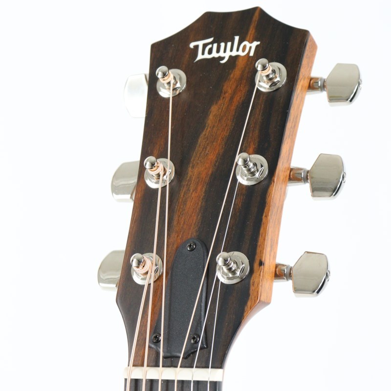 Taylor 314ce ★最終値下げ 今月で出品終了します★ 楽天市場】Taylor（テイラー）2023 Special Edition 314ce V