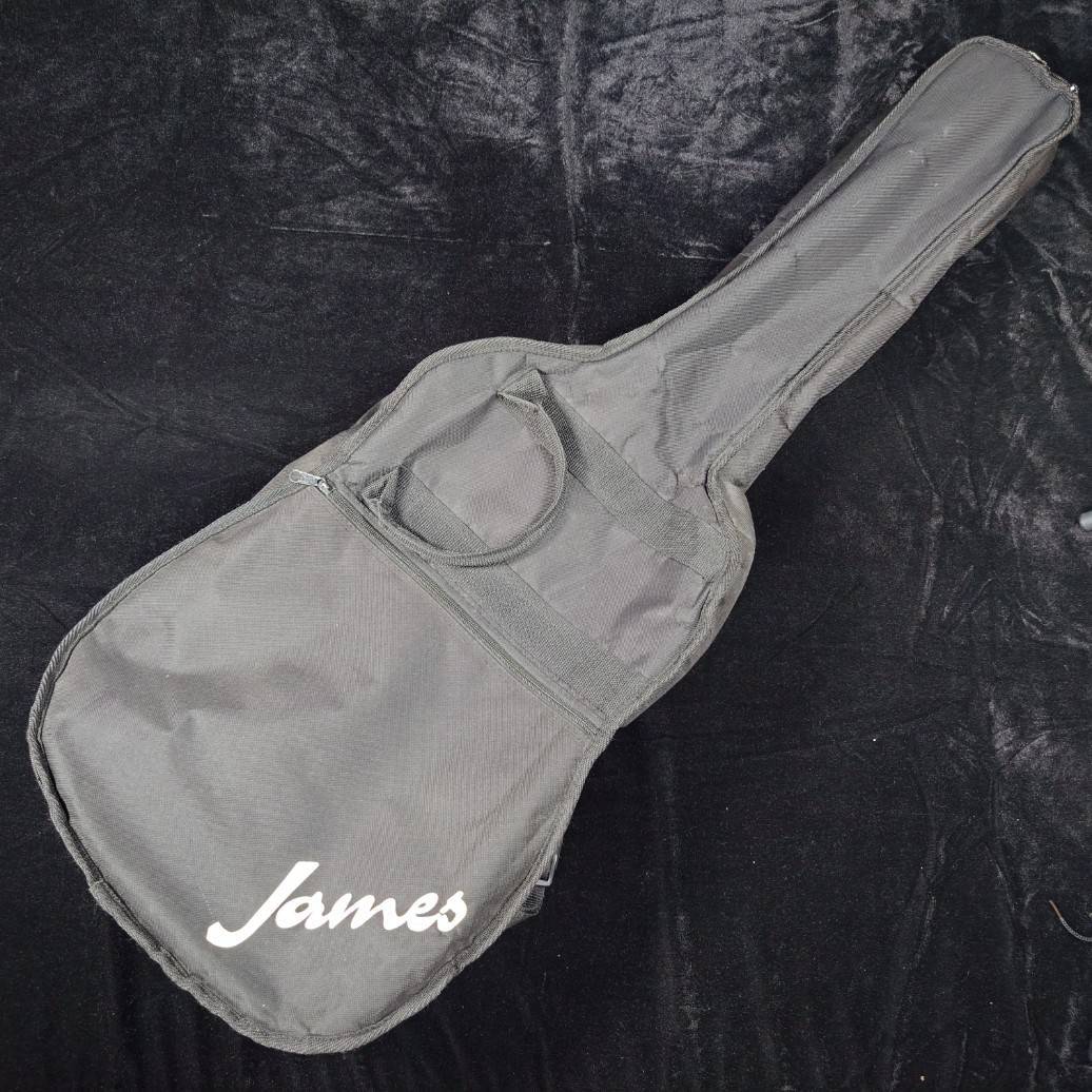 James JF350（中古）【楽器検索デジマート】