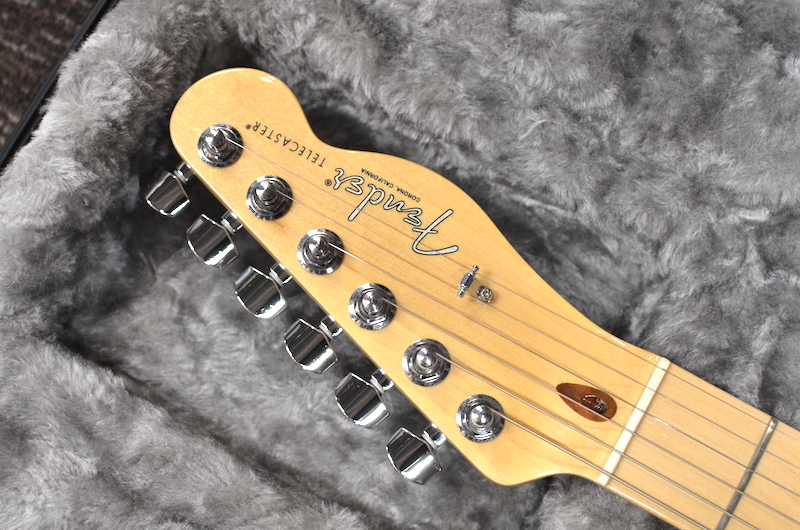 Fender American Professional Telecaster Maple Fingerboard