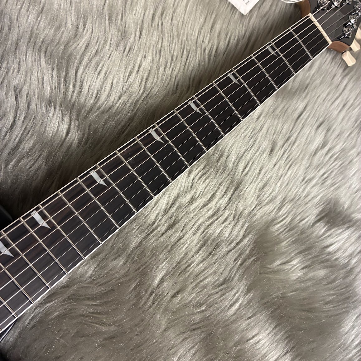 RYOGA HORNET Open Pore Black エレキギター ハムバッカー ベイクド