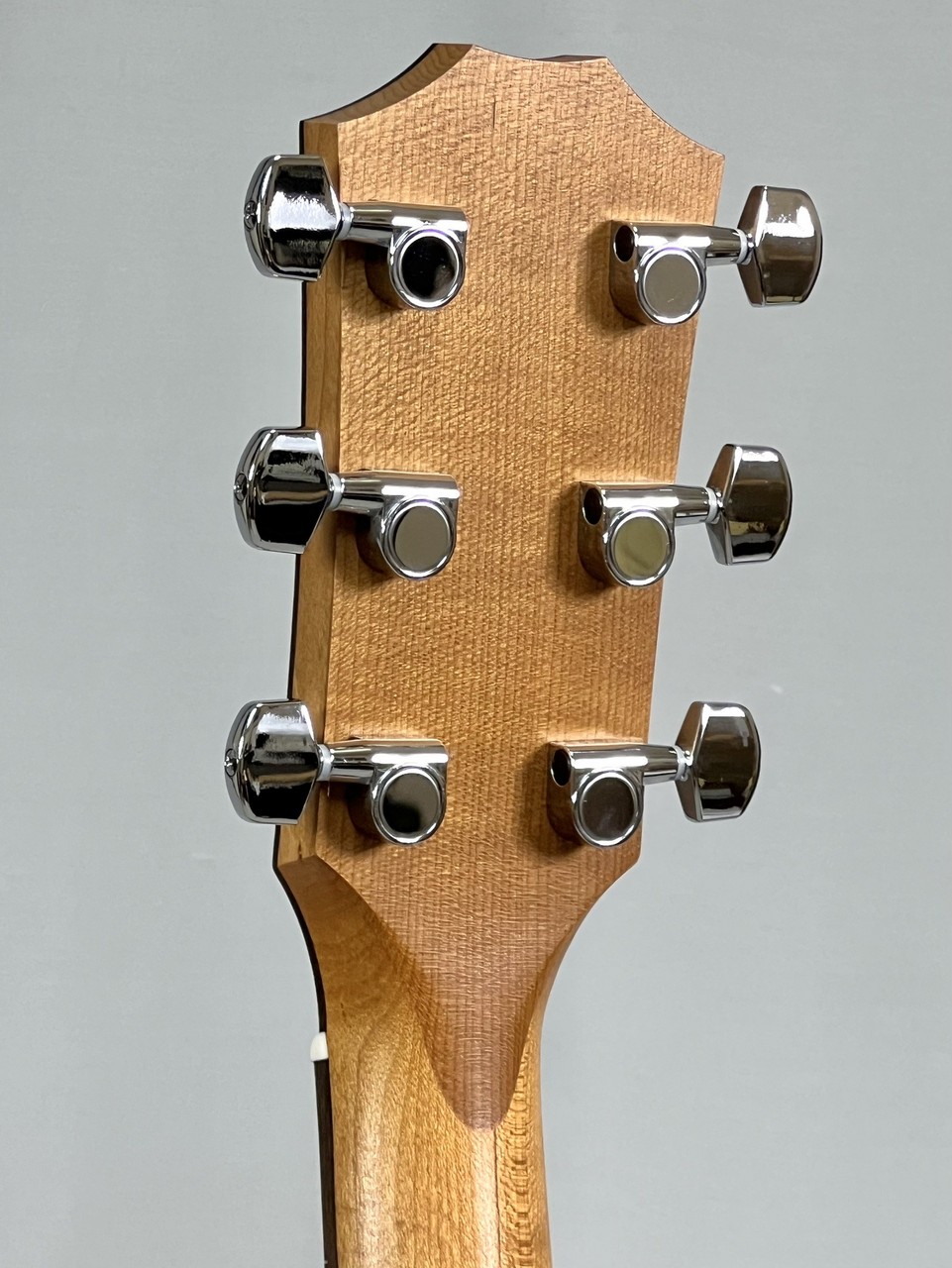 Taylor 114ce / Natural / Torrefied Spruce / Sapele / Expression